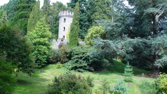 Powerscout Garden