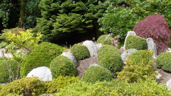 Powerscout Garden