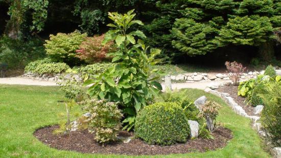 Powerscout Garden