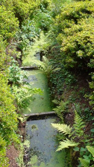 Powerscout Garden