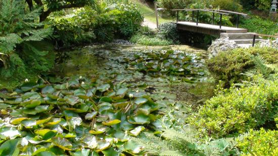 Powerscout Garden