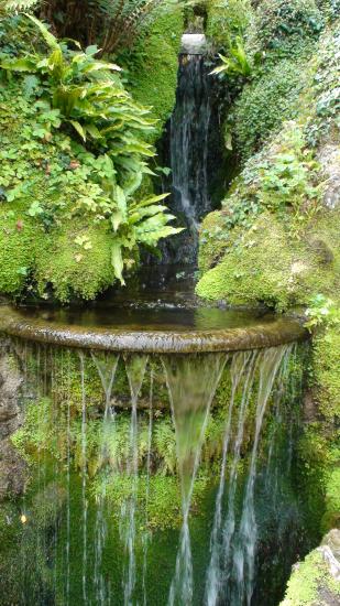 Powerscout Garden