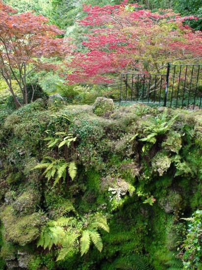 Powerscout Garden