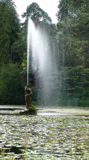 Powerscout Garden