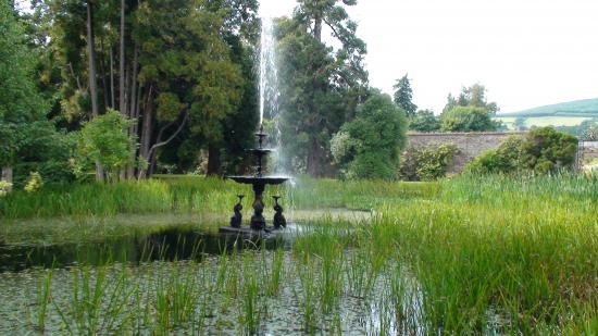 Powerscout Garden