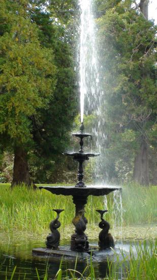 Powerscout Garden