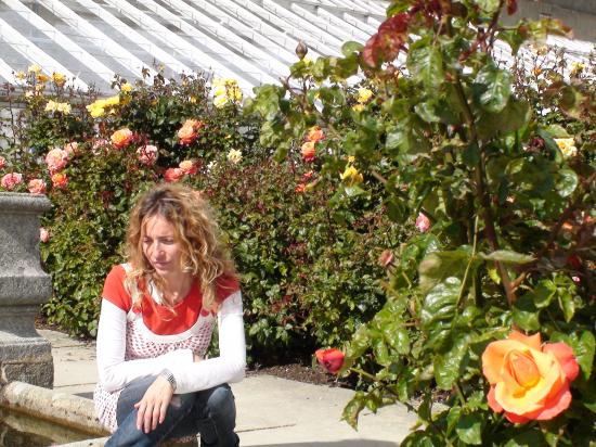 Powerscout Garden