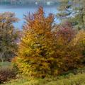 Lac d'Orta